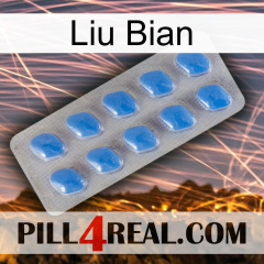 Liu Bian 22